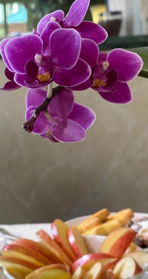 Hotel Verdi Boutique Hotel Parma Luaran gambar